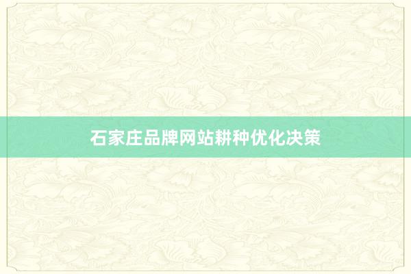 石家庄品牌网站耕种优化决策